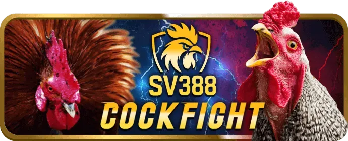 Biểu đồ tỷ lệ thắng cao và biểu tượng tiền vàng, thể hiện cơ hội thắng lớn.